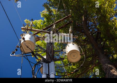 Stromverteilermast mit Transformatoren und Stromleitungen unter blauem Himmel und grünen Kiefern in den USA Stockfoto