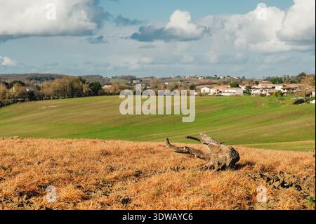 Ländliche Landschaft mit landwirtschaftlichen Feldern, umgefallenem Baumstamm und Dorf in der Ferne unter dramatischem bewölktem Himmel, Frankreich Stockfoto