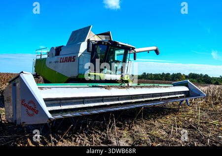 Kiew, Ukraine, 09.16.2023. Mähdrescher, der auf einem Sonnenblumenfeld arbeitet und reife, getrocknete Sonnenblumen mäht. Die Arbeit landwirtschaftlicher Maschinen. Stockfoto