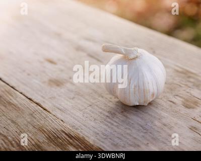 Einzelne Bio-Knoblauchbirne auf rustikalem Holzhintergrund, natürliches Sonnenlicht, Konzept vom Bauernhof zum Tisch. Stockfoto