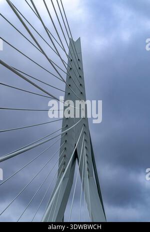 Die Spitze der Erasmus-Brücke Rotterdam. Das 1996 fertiggestellte Gebäude ist eine der ikonischen Formen der Stadt, auch de Zwaan genannt - der Schwan. Stockfoto