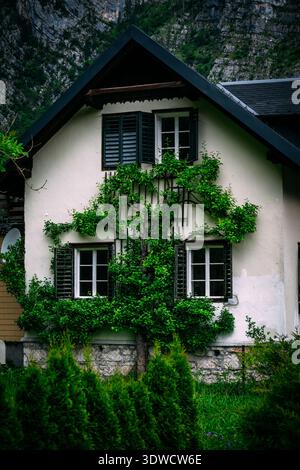Bezaubernde europäische Hausfassade bedeckt mit üppig grünen Kletterpflanzen und Fensterläden Stockfoto
