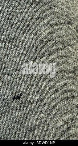 Graue Stricktextur mit diagonalem Muster als Hintergrund für Textilien oder Design. Mobiles Foto Stockfoto