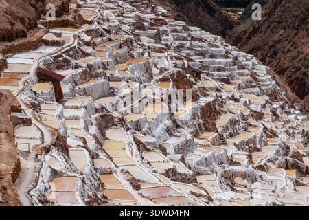 Maras Salt Mines peru Stockfoto