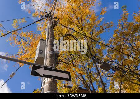 Elektrische Geräte und Kommunikationskabel, die an einem Versorgungsmast montiert sind, umgeben von Herbstbäumen unter klarem blauem Himmel Stockfoto
