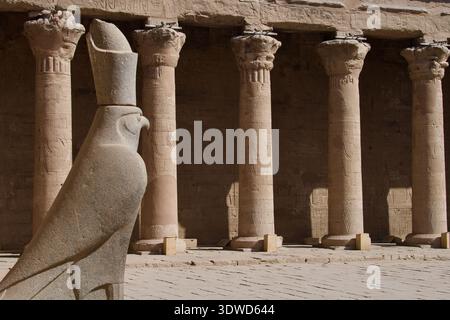 Edfu-Tempel der Falken Gottheit Horus mit Säulen und Stein Horus Statue im Hof Edfu Oberägypten Mittlerer Osten Stockfoto
