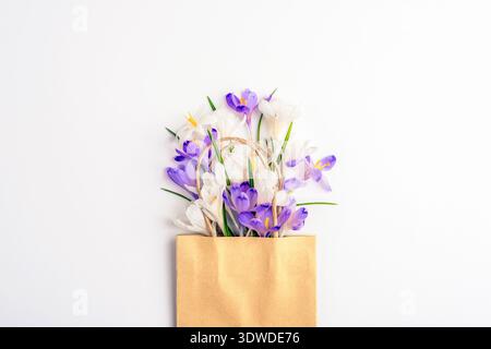 Violette und weiße Krokusblüten in Papiertüte auf weißem Hintergrund. Hallo Spring Concept. Draufsicht, flach. Stockfoto