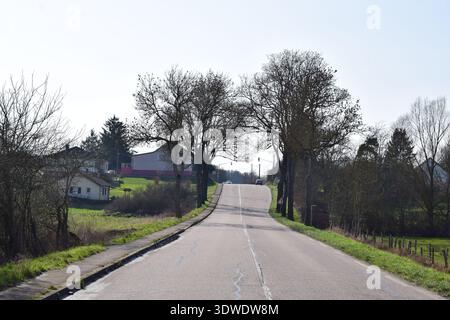 avenue aus einer französischen Kleinstadt im Norden im Winter Stockfoto