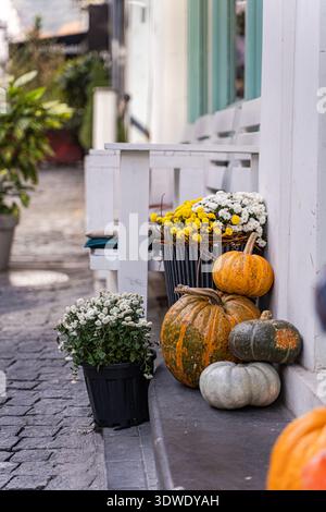Charmante herbstliche Wohnkultur mit Kürbissen und bunten Chrysanthemen auf einer gemütlichen Veranda, die das Wesen des Herbstes einfängt und Wärme in ein Zuhause einlädt Stockfoto