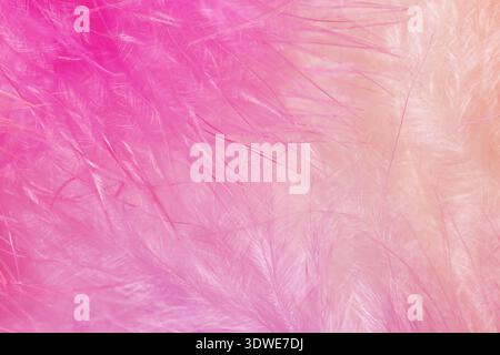 Nahaufnahme mit weichen rosa Federn für einen zarten, luftigen Hintergrund. Ideal für dekoratives Design, das ein Gefühl von Leichtigkeit und Eleganz in verschiedenen Bereichen weckt Stockfoto