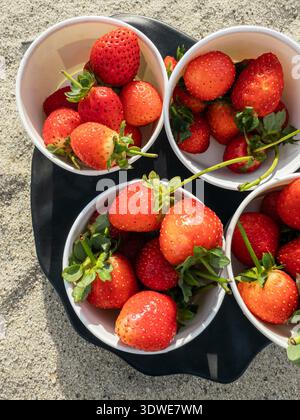 Helle, saftige Erdbeeren werden in weißen Tassen auf einer strukturierten Oberfläche präsentiert und eignen sich perfekt für ein erfrischendes veganes Frühstück oder einen Snack, der ihre na unterstreicht Stockfoto