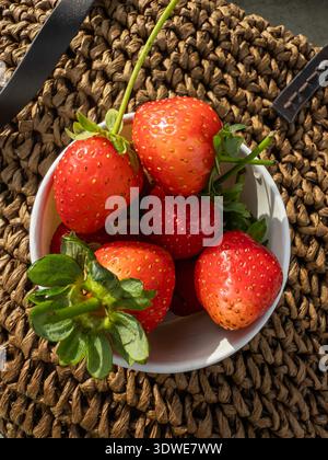Eine weiße Schüssel gefüllt mit Reifen roten Erdbeeren auf einer strukturierten gewebten Matte, perfekt für ein veganes Frühstück, in dem die lebendigen Farben der Natur und Stockfoto
