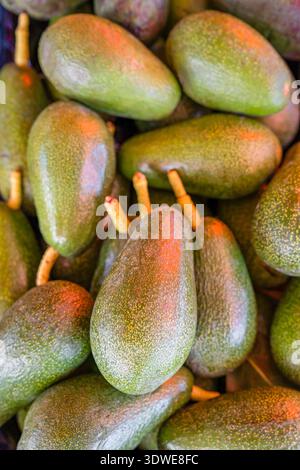 Eine Nahaufnahme frischer Avocados mit sattem Grün, die sich zusammenstapeln. Das Bild zeigt das lebendige und gesunde Aussehen der Avocados ide Stockfoto