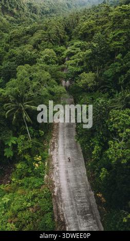 Aus der Vogelperspektive auf einer schmalen Betonstraße, die durch dichten, üppigen Regenwald auf den Philippinen führt und die Essenz des Abenteuers und der natürlichen Schönheit einfängt Stockfoto
