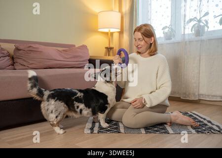 Eine schwangere Frau sitzt auf dem Boden in einem gemütlichen Wohnzimmer und spielt fröhlich mit ihrem Hund mit einem Spielzeugring. Die Szene hebt Wärme, Sorgfalt und Kompa hervor Stockfoto