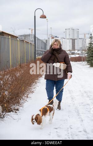 Eine Frau schlendert mit ihrem Kavalier King Charles Spaniel durch eine verschneite Stadtstraße. Sie trägt eine warme Jacke, die den frischen Winter umschmeichelt Stockfoto
