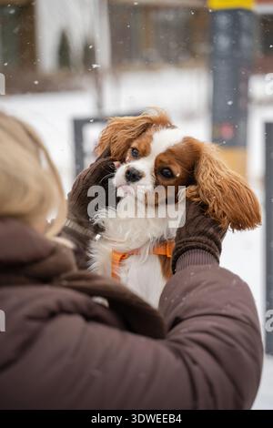 Eine Frau in Winterkleidung hält ihren entzückenden Kavalier King Charles Spaniel und hält einen zarten Moment fest. Die Schneeflocken fallen sanft und verleihen ihnen einen magischen Touch Stockfoto