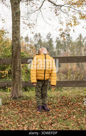 Ein Kind in einer gelben Jacke genießt die Schönheit eines herbstlichen Waldes, umgeben von bunten Blättern und der Ruhe der Natur, die ein Gefühl des Staunens und der Schönheit weckt Stockfoto