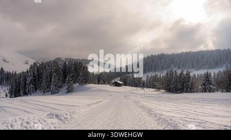 Ruhige Winterszene in den Alpen mit schneebedeckten Bäumen, einer Holzhütte und einem klaren Himmel. Perfekt für Wintersportler und Naturliebhaber Stockfoto