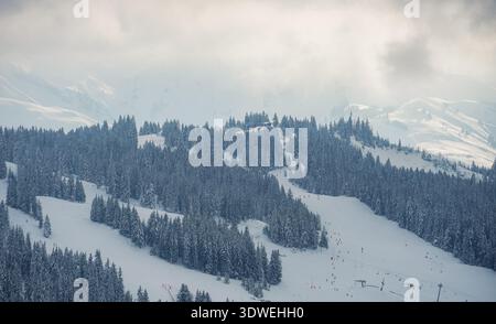 Eine ruhige Winterszene zeigt die schneebedeckten Hänge der Alpen. Hohe immergrüne Bäume stehen lautlos im pulverförmigen Schnee, und die Skifahrer genießen es Stockfoto