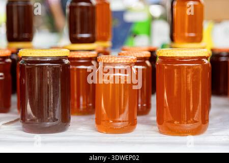 Eine Sammlung von Glasgläsern gefüllt mit frischem Honig in verschiedenen Bernsteintönen, ausgestellt auf einem Tisch. Zarte Reflexionen auf dem Glas deuten auf den Schatz hin Stockfoto
