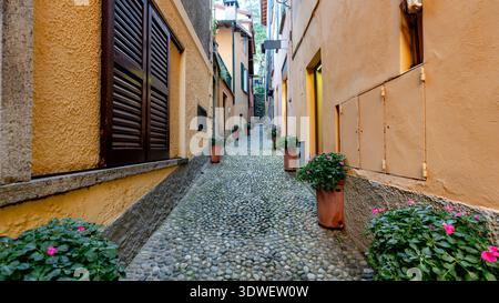 Eine malerische Kopfsteinpflasterallee in Bellagio, Italien, gesäumt von lebendigen Topfblumen. Der historische Charme des Comer Sees spiegelt sich in der rustikalen A wider Stockfoto