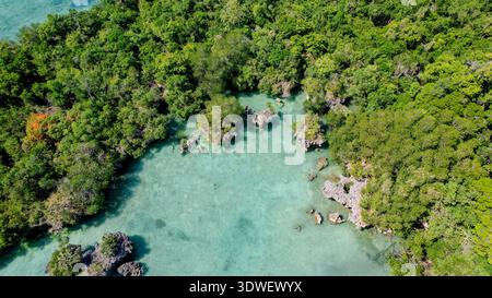 Ein atemberaubender Blick aus der Vogelperspektive auf die Blaue Lagune in Sansibar, Tansania, mit türkisfarbenem Wasser, umgeben von üppigem Grün und Felsformationen Stockfoto