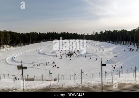 Weite Aufnahme eines belebten Winterspazierparks mit mehreren Snowtubing-Pisten. Familien genießen Outdoor-Aktivitäten in einem wunderschönen verschneiten Waldgebiet Stockfoto