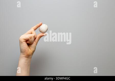 Nahaufnahme der Hand einer Person, die eine kleine gerippte Muschel hält. Die Schale ist cremeweiß bis bräunlich mit ausgeprägten Radialkämmen, die das Meer symbolisieren Stockfoto