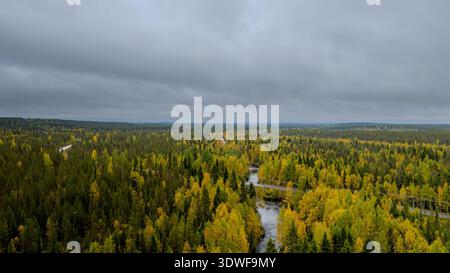 Von oben aus blickt man auf eine kleine Brücke über einen Fluss im goldenen Herbstwald Lapplands, Finnland Stockfoto