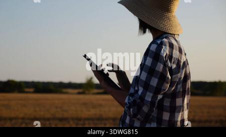 Agrostomistin im Strohhut, die die Ernte auf dem Gerstenfeld bei Sonnenuntergang überwacht. Erwachsener Landwirt mit digitaler Tablette auf Weizenwiese in der Abenddämmerung. Schön Stockfoto