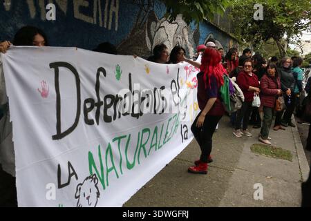 MÄRZ GEGEN DAS BERGBAUGESETZ Quito, Donnerstag, 26. Februar 2026 Umweltkollektive, Yasuni dos, Quito sin Mineria, etc. protestieren vor dem Verfassungsgericht gegen die Genehmigung des Gesetzes zur Stärkung der strategischen Sektoren Bergbau und Energie Fotos API Rolando Enriquez Quito Pichincha Ecuador POL MARCHACONTRALEYMINING f713865aef8c061036985e2734ff715f Copyright: xROLANDOxENRIQUEZx Stockfoto