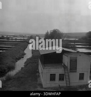 Das historische Schwarzweiß-Hochwinkelfoto aus den 1970er Jahren zeigt einen weiten Blick auf künstliche Teiche und ein Backsteingebäude im Donrybkombinat im Bezirk Slawjansk, ukrainische SSR, UdSSR. Die Landschaft zeigt ein riesiges Netz von Fischzuchtbecken, die durch Dämme getrennt sind, mit einer Produktionsanlage im Vordergrund mit einem sowjetischen Arbeiterplakat an der Wand. Dieses authentische Archivbild zeigt die industrielle Dimension der Aquakultur, der Landgewinnung und der stabilen Landwirtschaft im friedlichen Donbass vor dem Krieg. Stockfoto