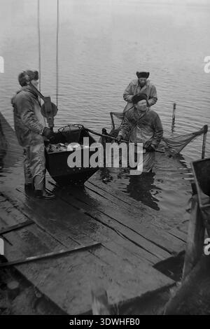 Das historische Schwarzweißfoto der 1970er Jahre zeigt ein Team sowjetischer Arbeiter auf einem Holzsteg während einer Fischernte im Donrybkombinat im Bezirk Slawjansk, ukrainische SSR, UdSSR. Ein Mann trägt Winterhüte und schwere Mäntel und hält eine große Kiste mit frischem Fisch, die von einem Flaschenzug aufgehängt wird, während zwei andere hüfttief im Wasser stehen. Dieses authentische Archivbild zeigt Handarbeit, technische Ausrüstung und die stetige Entwicklung der Lebensmittelindustrie im friedlichen Donbass vor dem Krieg. Stockfoto