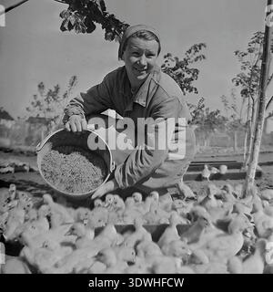 Das historische Schwarzweißfoto aus den 1970er Jahren zeigt eine Arbeiterin, die eine große Herde Enten aus einem Eimer im Donrybkombinat im Bezirk Slawjansk, ukrainische SSR, UdSSR, füttert. In Arbeitskleidung und Kopftuch gekleidet, lächelt sie, während sie sich um das Geflügel auf der Farm kümmert. Dieses authentische Archivbild zeigt die Integration der Entenzucht in die sowjetische Aquakultur, die täglichen landwirtschaftlichen Routinen und die stetige Entwicklung der Lebensmittelindustrie in der Region während einer friedlichen Ära. Stockfoto