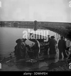 Das historische Schwarzweißfoto der 1970er Jahre zeigt ein großes Team sowjetischer Arbeiter, die im Wasser stehen, während sie eine frische Fischernte im Donrybkombinat im Bezirk Slawjansk, ukrainische SSR, UdSSR, verarbeiten. Ein hölzernes Flachbodenboot liegt in der Nähe, da die Männer mit untergetauchten Kisten in der Nähe des Ufers arbeiten. Dieses authentische Archivbild zeigt die kollektive Handarbeit, die industrielle Aquakultur und das stabile, produktive tägliche Leben im friedlichen Donbass vor dem Krieg, das die regionale industrielle Macht widerspiegelt. Stockfoto