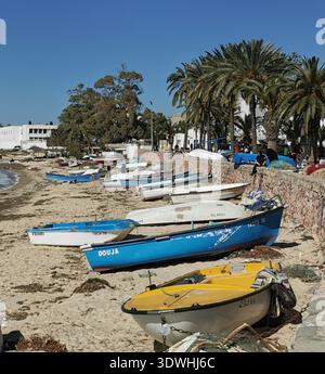 Enge blau-weiße Gassen der alten Medina von Hammamet, Tunesien, mit traditioneller Architektur und ruhigen Straßen in der historischen Küstenstadt. Stockfoto
