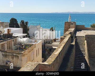 Hammamet: Enge blau-weiße Gassen der alten Medina Tunesien, mit traditioneller Architektur und ruhigen Straßen in der historischen Küstenstadt. Stockfoto