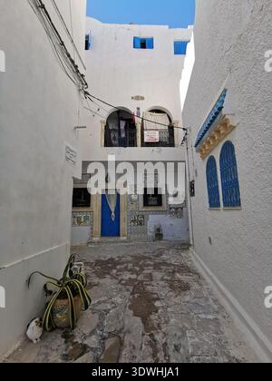 Hammamet: Enge blau-weiße Gassen der alten Medina Tunesien, mit traditioneller Architektur und ruhigen Straßen in der historischen Küstenstadt. Stockfoto