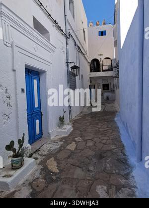 Hammamet: Enge blau-weiße Gassen der alten Medina Tunesien, mit traditioneller Architektur und ruhigen Straßen in der historischen Küstenstadt. Stockfoto