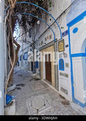 Hammamet: Enge blau-weiße Gassen der alten Medina Tunesien, mit traditioneller Architektur und ruhigen Straßen in der historischen Küstenstadt. Stockfoto