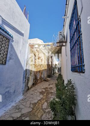 Hammamet: Enge blau-weiße Gassen der alten Medina Tunesien, mit traditioneller Architektur und ruhigen Straßen in der historischen Küstenstadt. Stockfoto