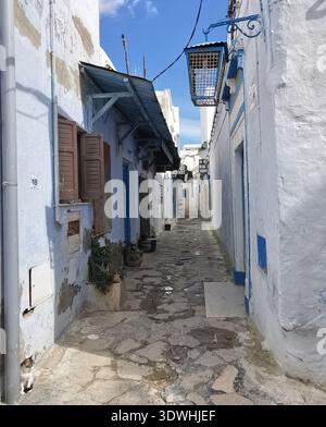 Hammamet: Enge blau-weiße Gassen der alten Medina Tunesien, mit traditioneller Architektur und ruhigen Straßen in der historischen Küstenstadt. Stockfoto