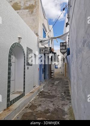 Hammamet: Enge blau-weiße Gassen der alten Medina Tunesien, mit traditioneller Architektur und ruhigen Straßen in der historischen Küstenstadt. Stockfoto