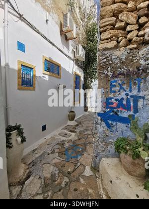 Hammamet: Enge blau-weiße Gassen der alten Medina Tunesien, mit traditioneller Architektur und ruhigen Straßen in der historischen Küstenstadt. Stockfoto