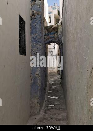 Hammamet: Enge blau-weiße Gassen der alten Medina Tunesien, mit traditioneller Architektur und ruhigen Straßen in der historischen Küstenstadt. Stockfoto