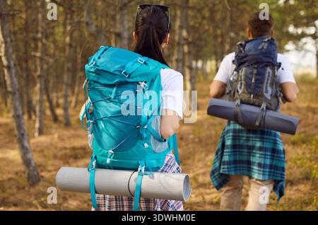 Ein paar Wanderer mit Rucksäcken, die auf dem Sommerwaldpfad spazieren gehen, Rückansicht Stockfoto