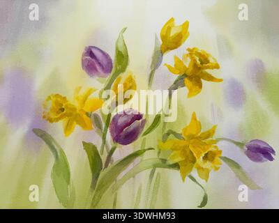 Ein Strauß aus violetten Tulpen und Narzissen Aquarellhintergrund Stockfoto