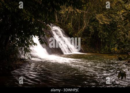 Kleiner Wasserfall und natürlicher Pool umgeben von dichter tropischer Vegetation in Brasilien Stockfoto