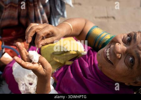 Lächelnde ältere indische Frau in farbenfrohem Sari, die Baumwolle in den Händen hält in Varanasi, Indien. Stockfoto
